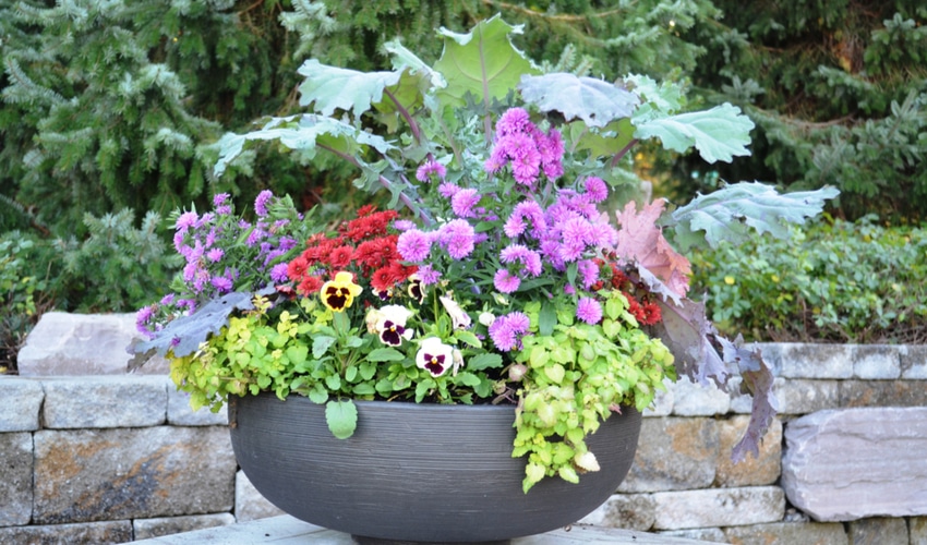 floral-container-in-kettle-pot floral-container-in-kettle-pot