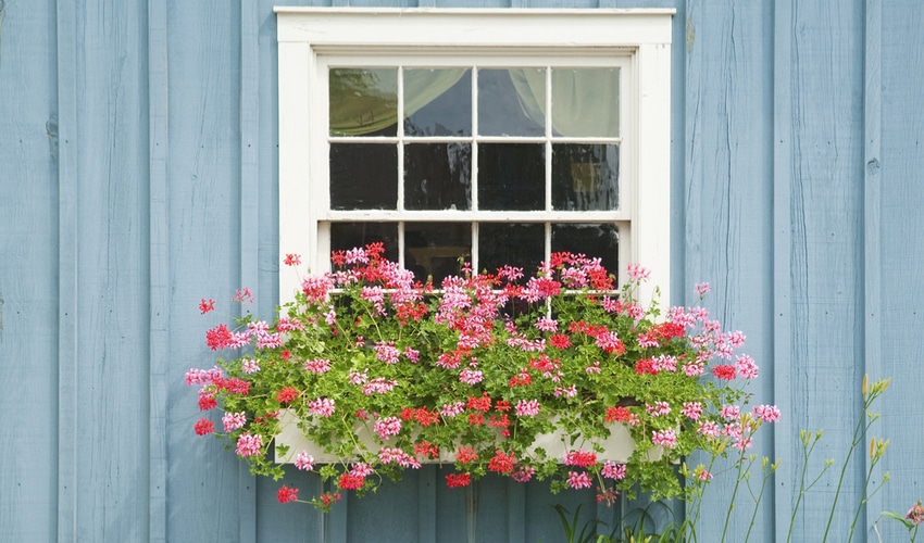 hanging-window-arrangement hanging-window-arrangement