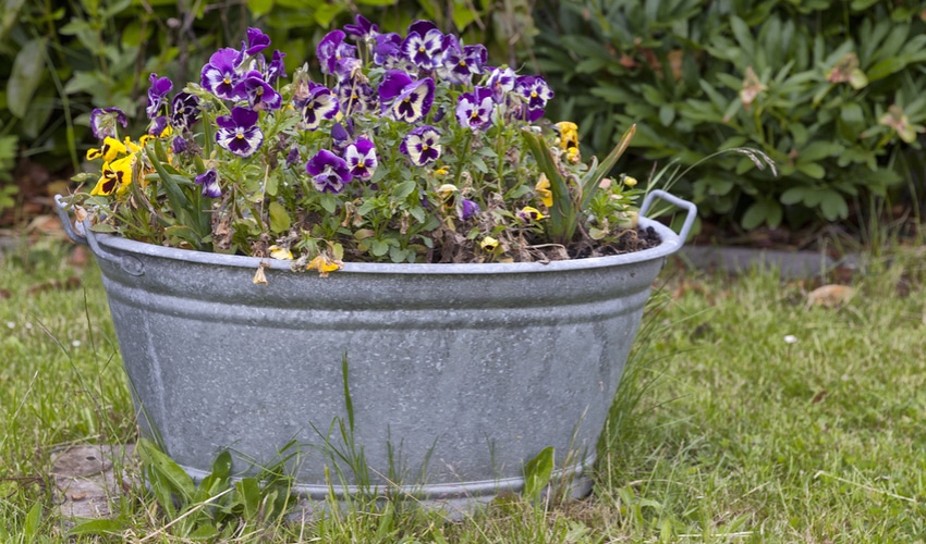 trough-flower-pot trough-flower-pot